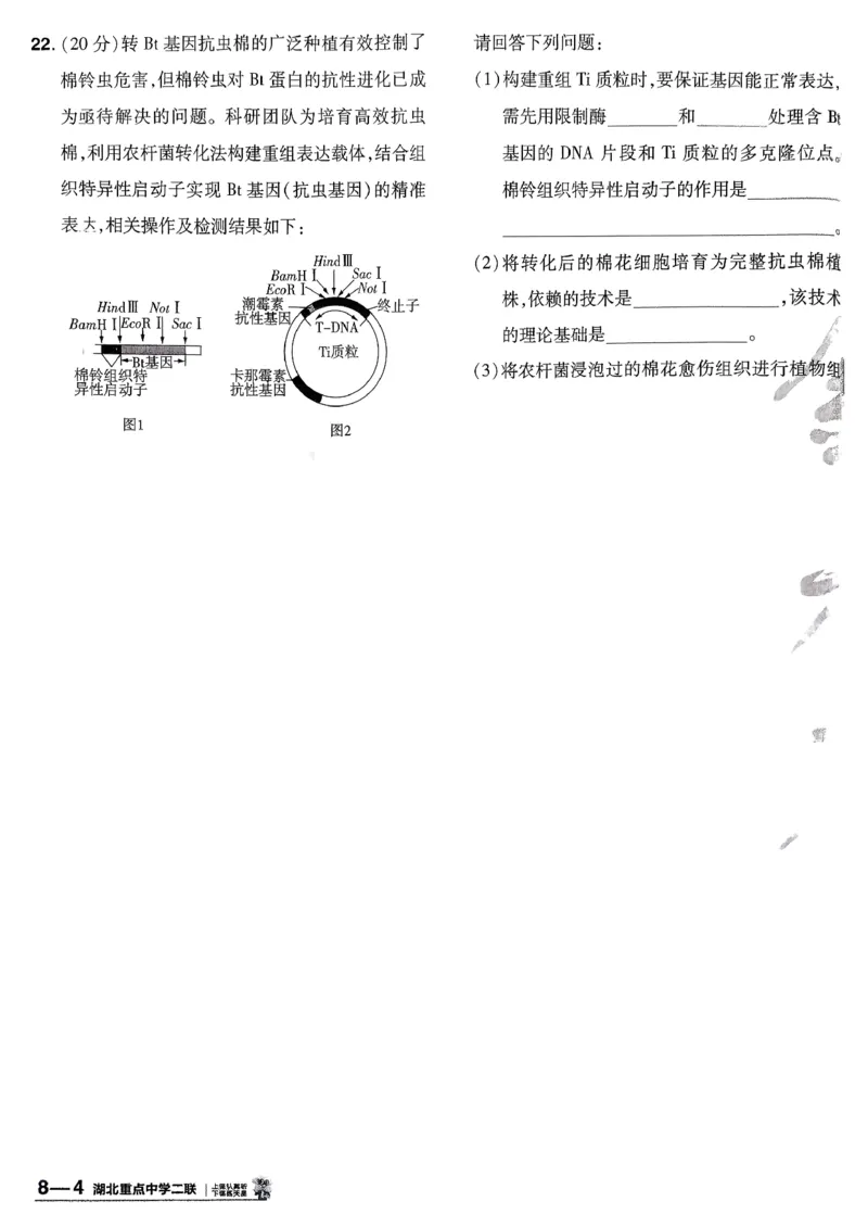 2026生物金考卷特快专递第6期《一模精选卷》试题册_第六期物化生_2026生物金考卷特快专递第6期《一模精选卷》