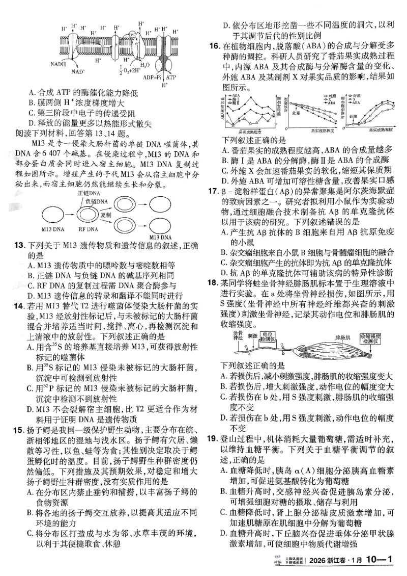 2026生物金考卷特快专递第6期《一模精选卷》试题册_第六期物化生_2026生物金考卷特快专递第6期《一模精选卷》