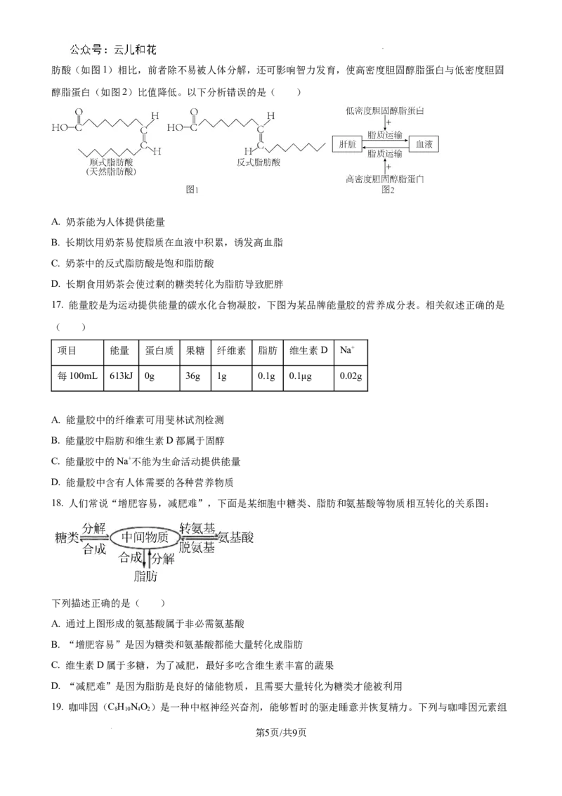四川省成都市树德中学2024-2025学年高一上学期10月月考生物试题（原卷版）_2024年11月试卷_1102四川省成都市树德中学2024-2025学年高一上学期10月阶段性测试