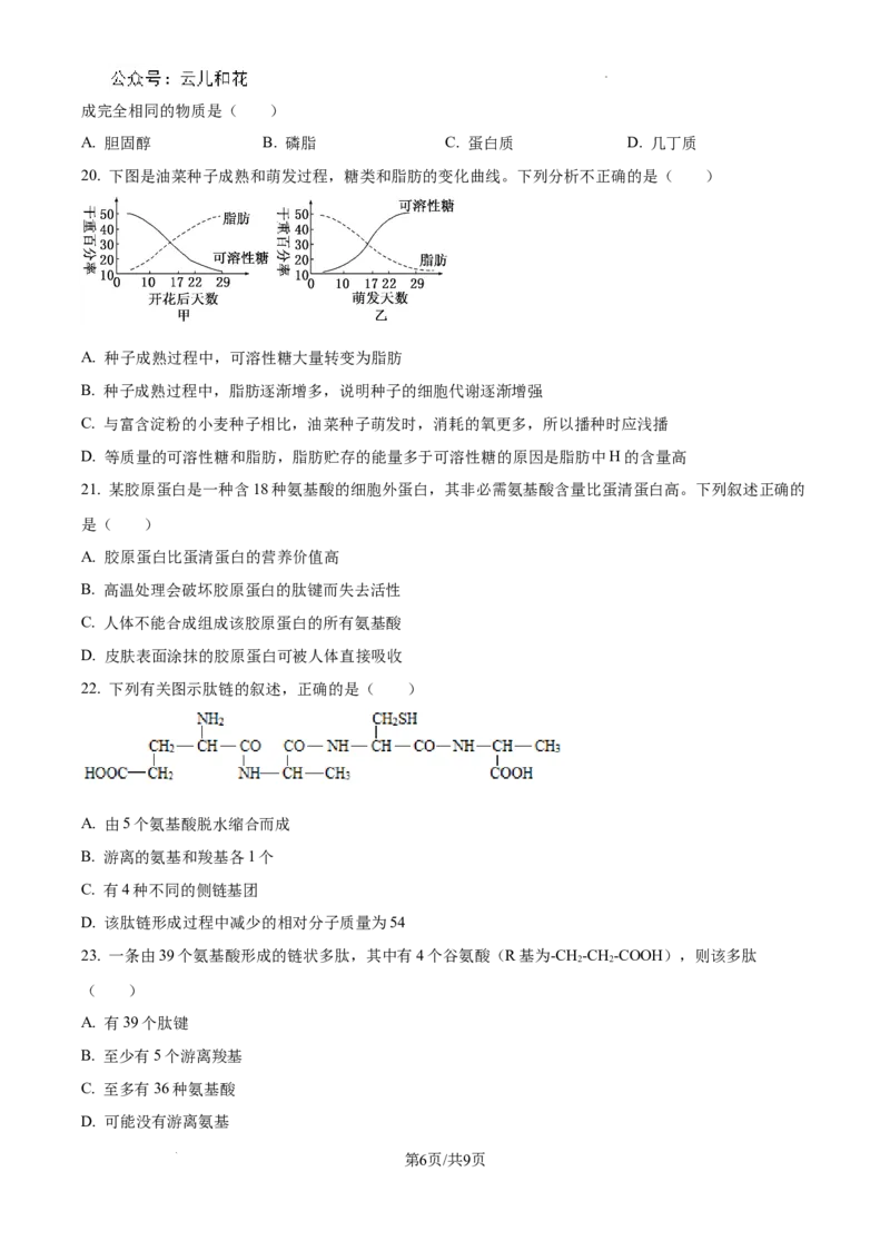 四川省成都市树德中学2024-2025学年高一上学期10月月考生物试题（原卷版）_2024年11月试卷_1102四川省成都市树德中学2024-2025学年高一上学期10月阶段性测试