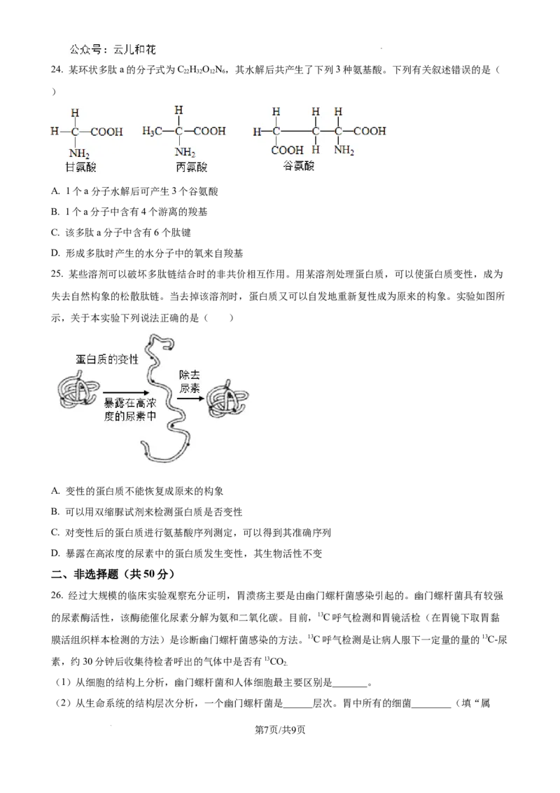四川省成都市树德中学2024-2025学年高一上学期10月月考生物试题（原卷版）_2024年11月试卷_1102四川省成都市树德中学2024-2025学年高一上学期10月阶段性测试