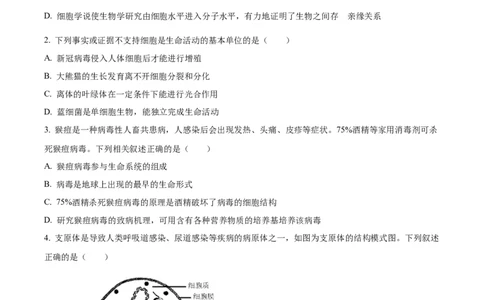 四川省成都市树德中学2024-2025学年高一上学期10月月考生物试题（原卷版）_2024年11月试卷_1102四川省成都市树德中学2024-2025学年高一上学期10月阶段性测试