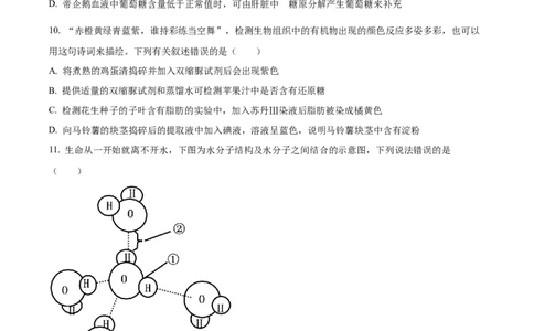 四川省成都市树德中学2024-2025学年高一上学期10月月考生物试题（原卷版）_2024年11月试卷_1102四川省成都市树德中学2024-2025学年高一上学期10月阶段性测试