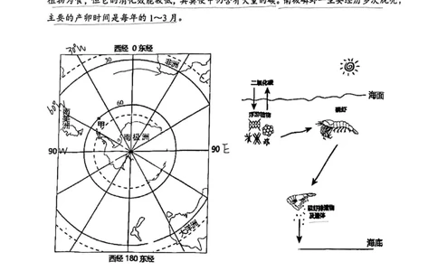2025松江一模跨学科参考答案_0122026上海中考一模二模真题试卷_2025-2012年_6.2025年上海一模_分科目整理（试卷及答案）英语听力音频在这里_跨学科_答案