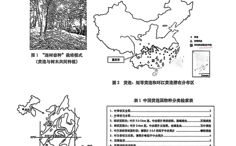 2026上海普陀初三一模跨学科试卷（手写答案）_0122026上海中考一模二模真题试卷_2026年上海一模_上海1500初中高中试卷_普陀区