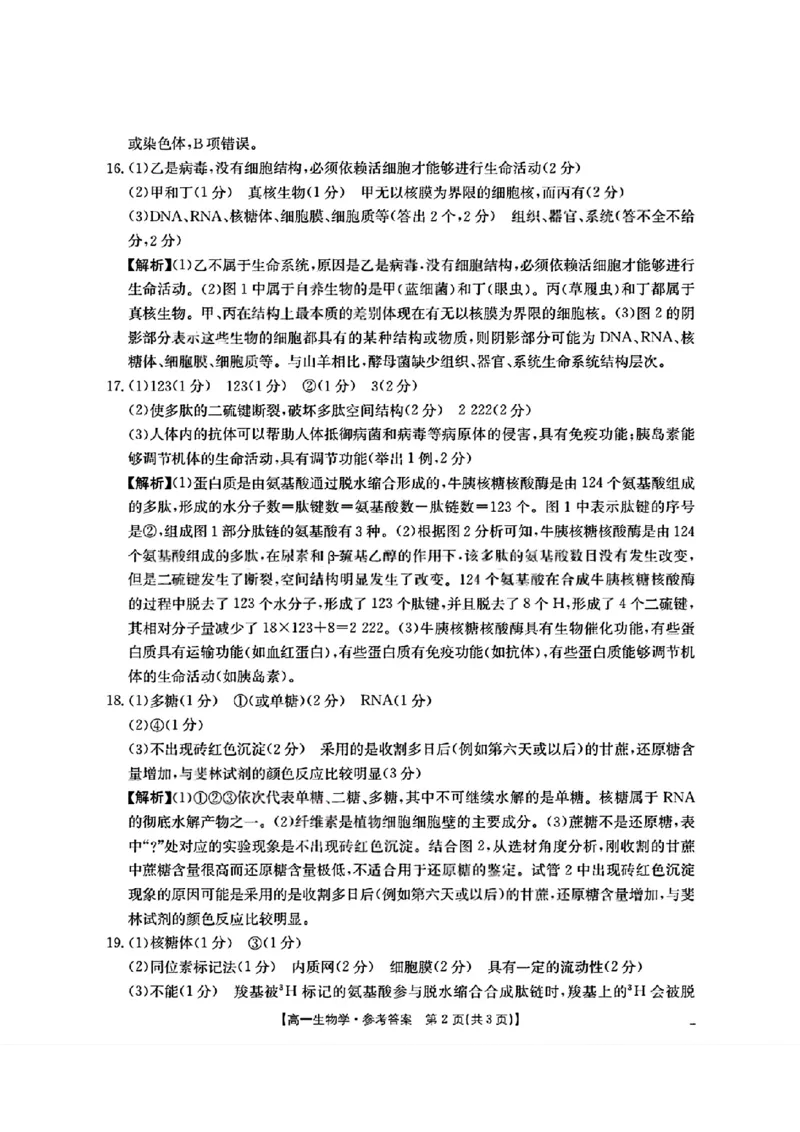 四川省2025-2026学年高一上学期11月期中联考生物学试卷含答案_2025年12月高一试卷_251202金太阳&middot;四川省2025-2026学年高一上学期11月联考（26-85A）（全）