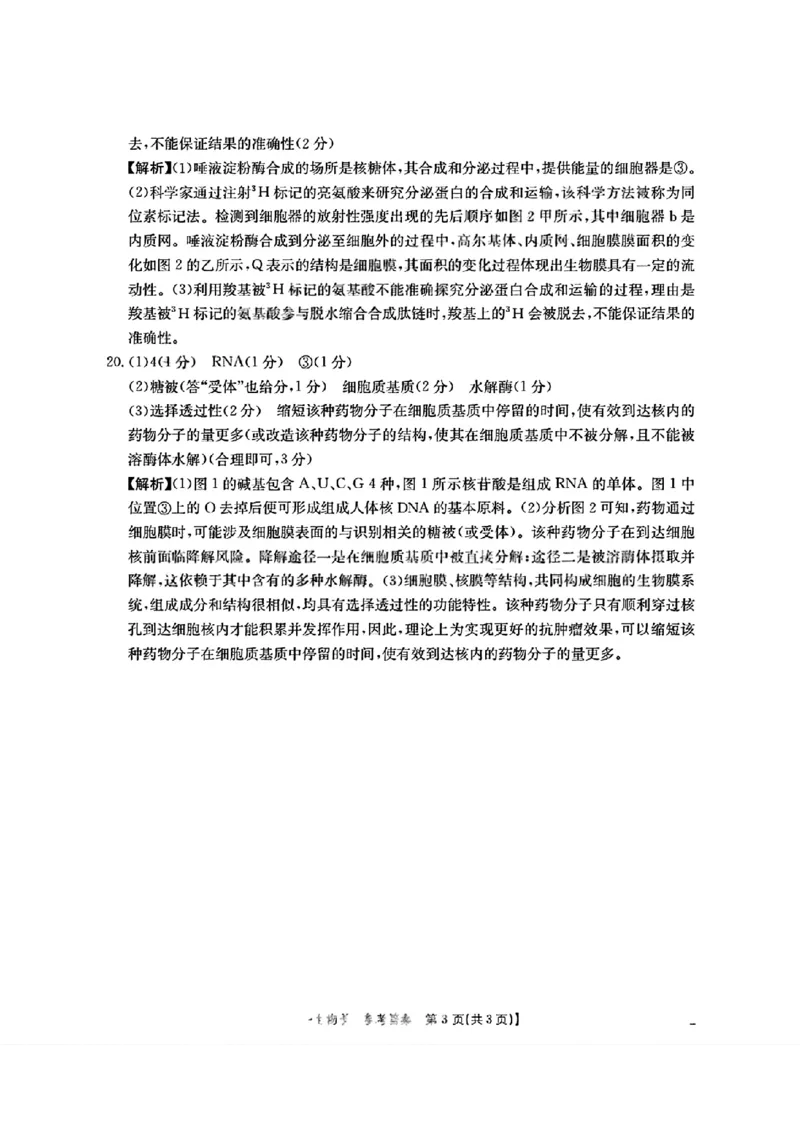 四川省2025-2026学年高一上学期11月期中联考生物学试卷含答案_2025年12月高一试卷_251202金太阳&middot;四川省2025-2026学年高一上学期11月联考（26-85A）（全）