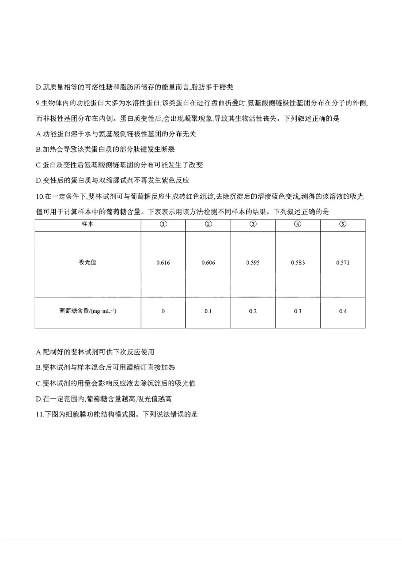 四川省2025-2026学年高一上学期11月期中联考生物学试卷含答案_2025年12月高一试卷_251202金太阳&middot;四川省2025-2026学年高一上学期11月联考（26-85A）（全）