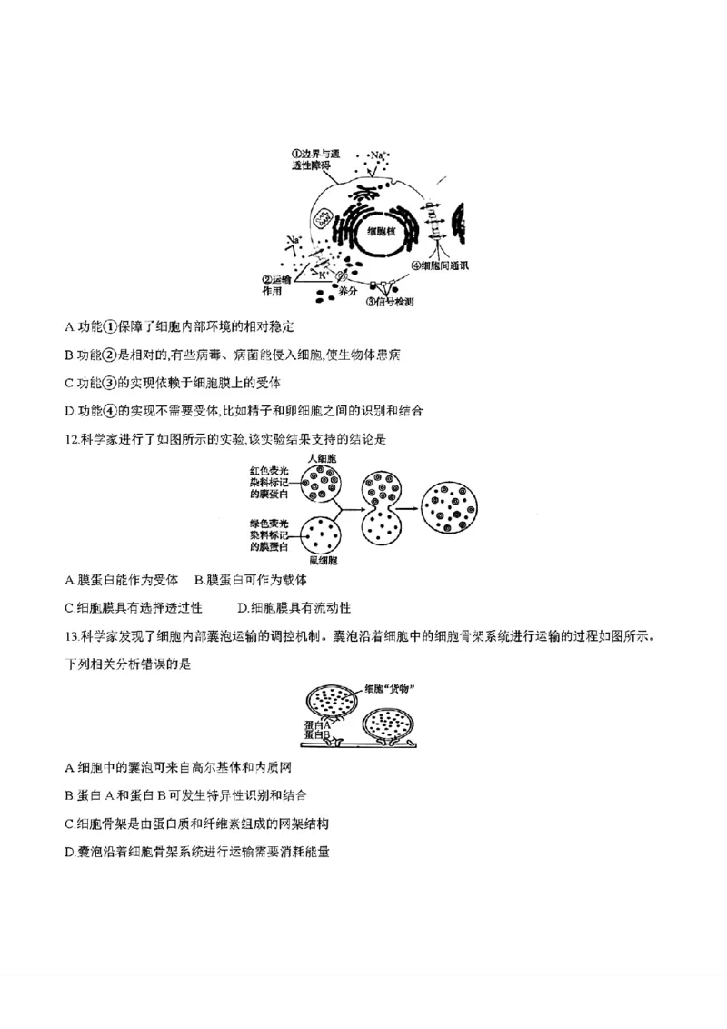 四川省2025-2026学年高一上学期11月期中联考生物学试卷含答案_2025年12月高一试卷_251202金太阳&middot;四川省2025-2026学年高一上学期11月联考（26-85A）（全）
