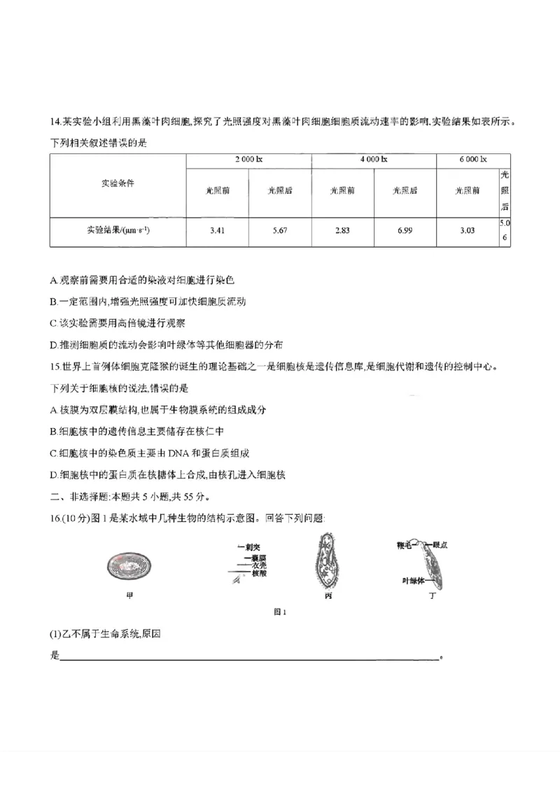 四川省2025-2026学年高一上学期11月期中联考生物学试卷含答案_2025年12月高一试卷_251202金太阳&middot;四川省2025-2026学年高一上学期11月联考（26-85A）（全）