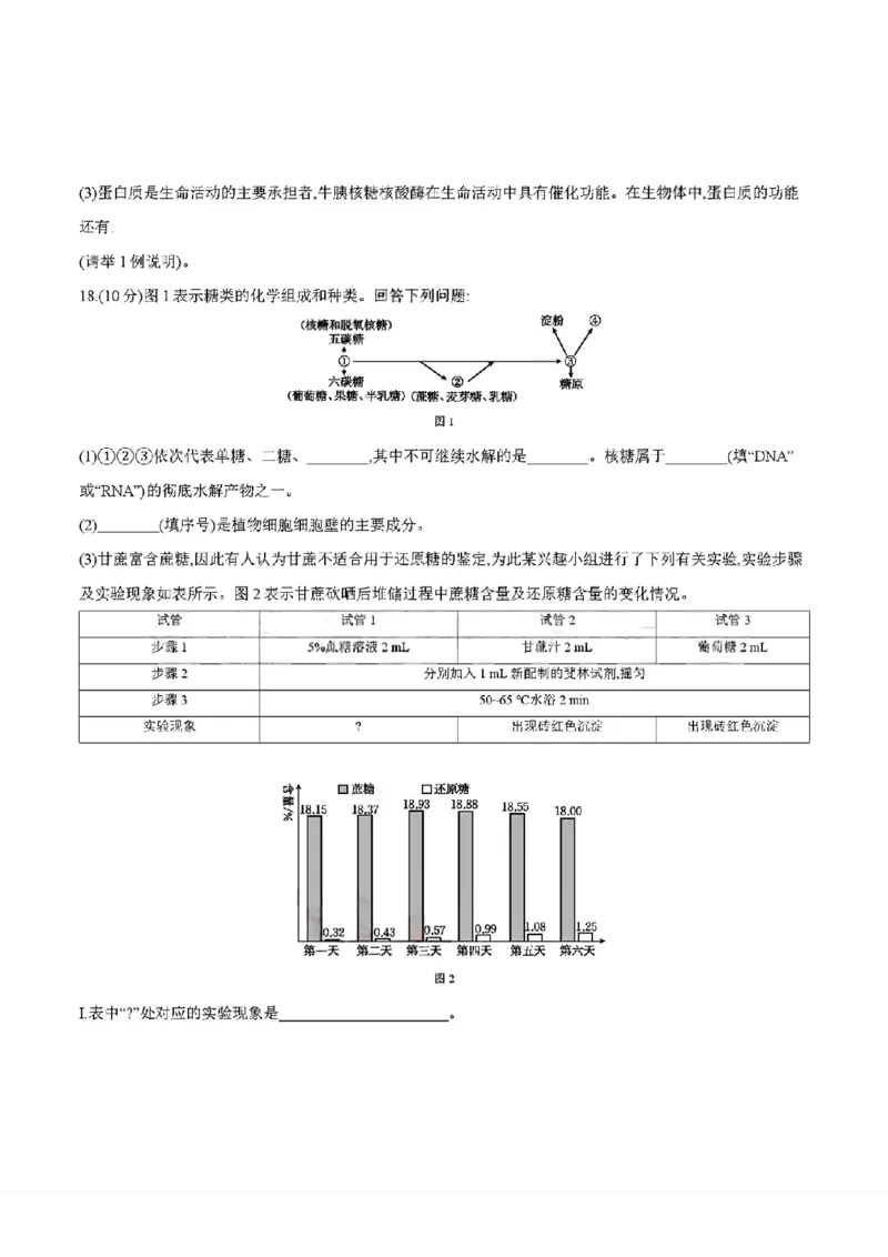 四川省2025-2026学年高一上学期11月期中联考生物学试卷含答案_2025年12月高一试卷_251202金太阳&middot;四川省2025-2026学年高一上学期11月联考（26-85A）（全）