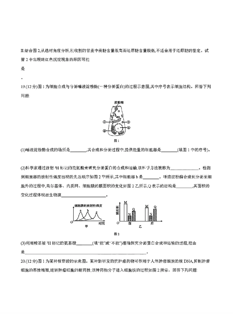 四川省2025-2026学年高一上学期11月期中联考生物学试卷含答案_2025年12月高一试卷_251202金太阳&middot;四川省2025-2026学年高一上学期11月联考（26-85A）（全）