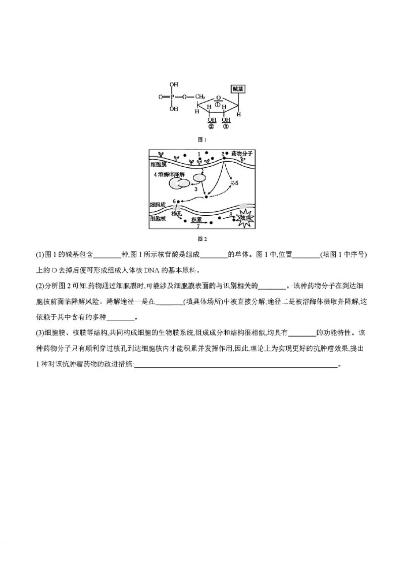 四川省2025-2026学年高一上学期11月期中联考生物学试卷含答案_2025年12月高一试卷_251202金太阳&middot;四川省2025-2026学年高一上学期11月联考（26-85A）（全）