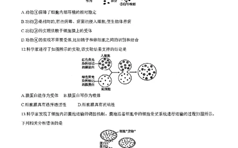 四川省2025-2026学年高一上学期11月期中联考生物学试卷含答案_2025年12月高一试卷_251202金太阳&middot;四川省2025-2026学年高一上学期11月联考（26-85A）（全）