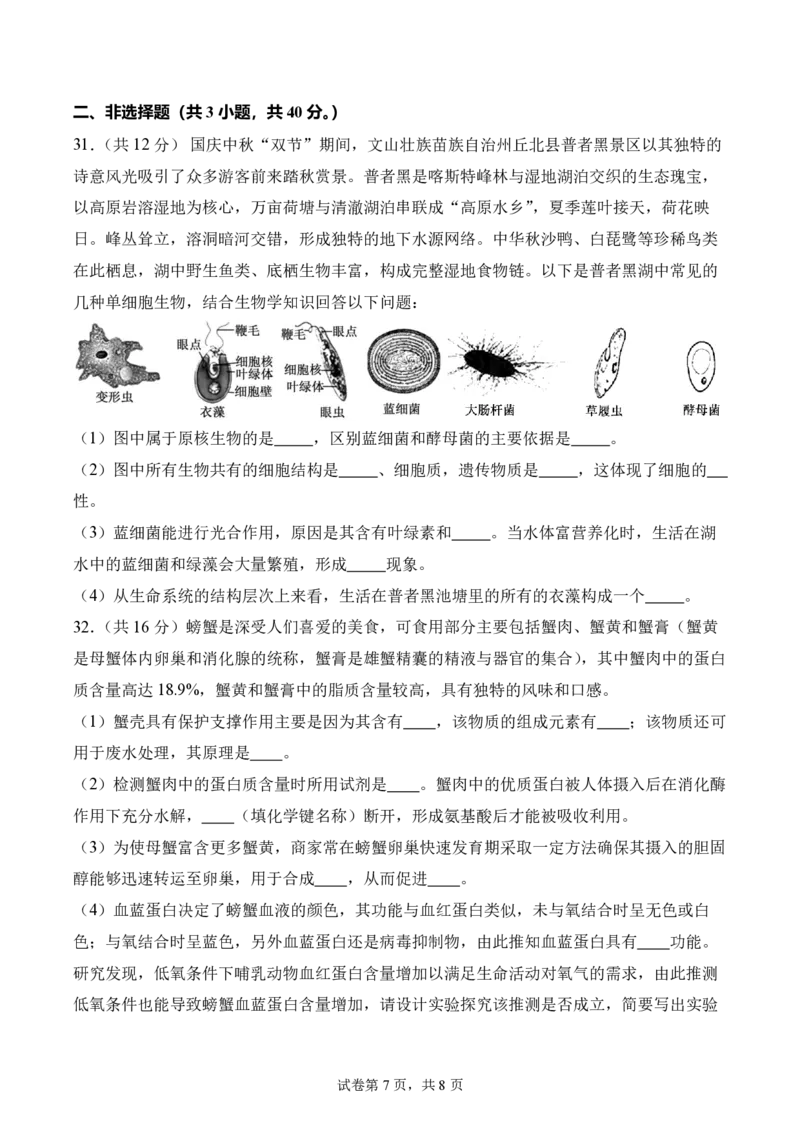 四川省成都市第七中学2025~2026学年度上期高2028届10月阶段性检测生物_2025年10月高一试卷_251018四川省成都市第七中学2025~2026学年度上期高一10月阶段性检测（全）