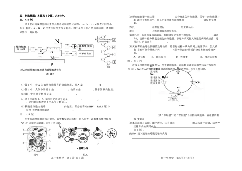 吉林省普通高中友好学校联合体2025-2026学年高一上学期期末生物试题_2026年01月高一试卷_260122吉林省普通高中友好学校联合体2025-2026学年高一上学期期末联考