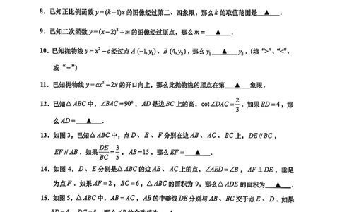 2025届普陀区初三一模数学试卷_0122026上海中考一模二模真题试卷_2025-2012年_6.2025年上海一模_分科目整理（试卷及答案）英语听力音频在这里_数学