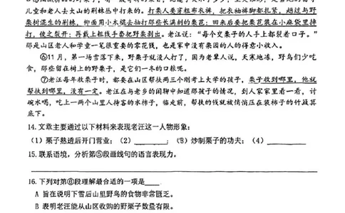 2023松江一模语文_0122026上海中考一模二模真题试卷_2025-2012年_1.上海中考语文一模二模（14-24）_一模_2023年上海市中考语文一模试卷（16份）_松江----Word原卷版+解析版