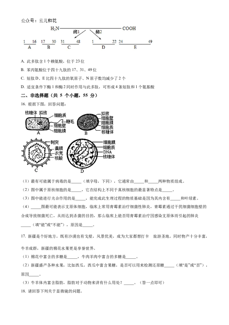 四川省南充市嘉陵第一中学2024-2025学年高一上学期10月月考生物试题Word版无答案_2024年11月试卷_1105四川省南充市嘉陵第一中学2024-2025学年高一上学期10月月考