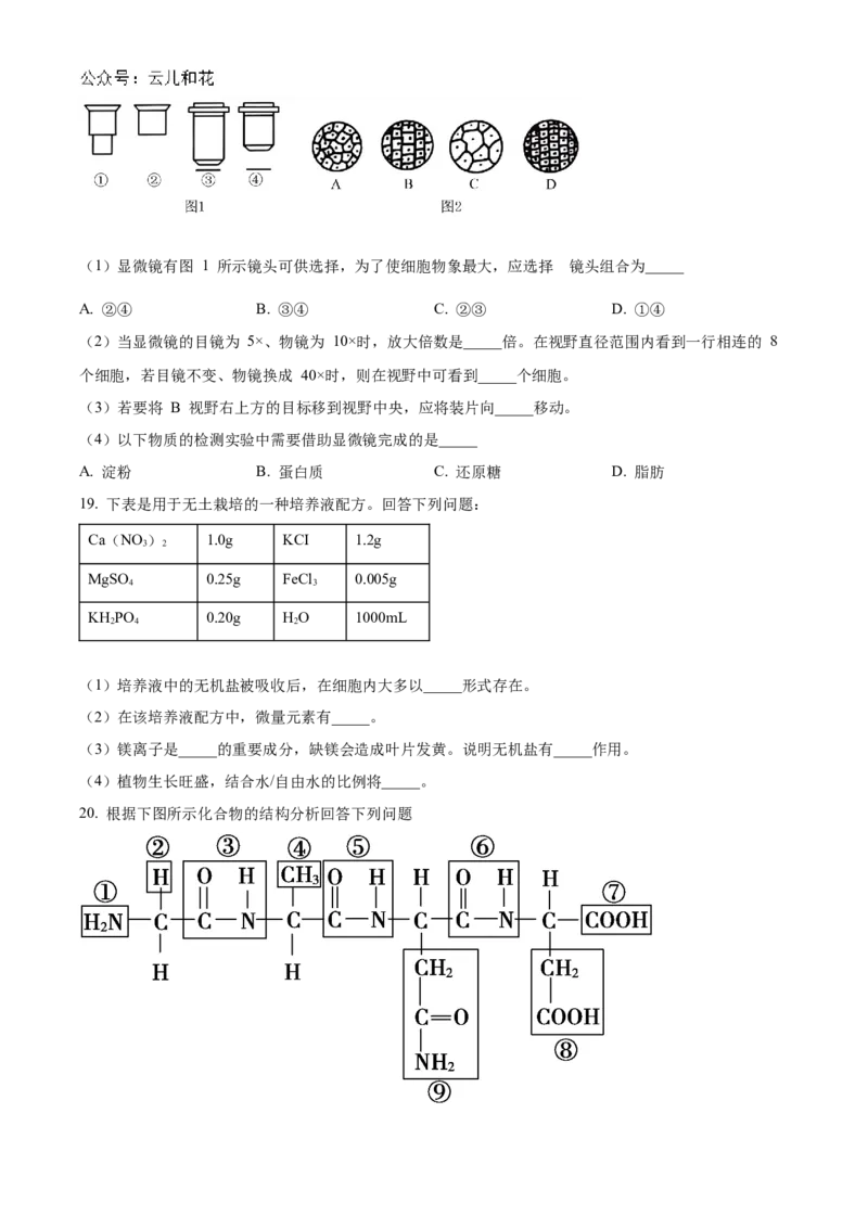 四川省南充市嘉陵第一中学2024-2025学年高一上学期10月月考生物试题Word版无答案_2024年11月试卷_1105四川省南充市嘉陵第一中学2024-2025学年高一上学期10月月考