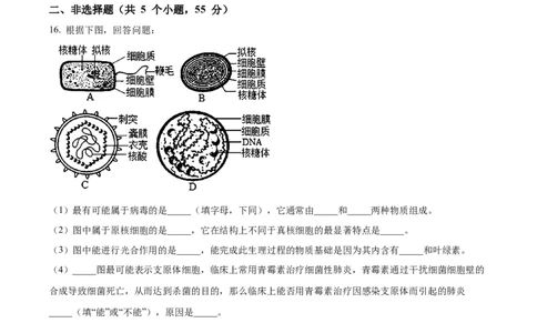 四川省南充市嘉陵第一中学2024-2025学年高一上学期10月月考生物试题Word版无答案_2024年11月试卷_1105四川省南充市嘉陵第一中学2024-2025学年高一上学期10月月考