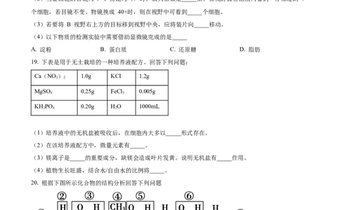 四川省南充市嘉陵第一中学2024-2025学年高一上学期10月月考生物试题Word版无答案_2024年11月试卷_1105四川省南充市嘉陵第一中学2024-2025学年高一上学期10月月考