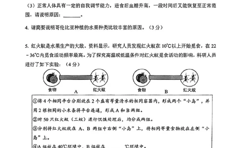 2025届杨浦区初三一模跨学科试卷_0122026上海中考一模二模真题试卷_2025-2012年_6.2025年上海一模_分科目整理（试卷及答案）英语听力音频在这里_跨学科