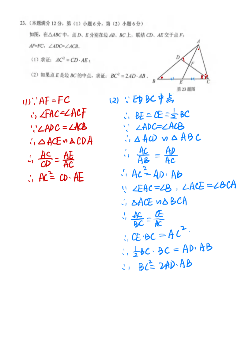 2025长宁一模数学参考答案_0122026上海中考一模二模真题试卷_2025-2012年_6.2025年上海一模_答案2025上海初三一模（部分道法答案更新中）_长宁（语数英+物化跨学科）