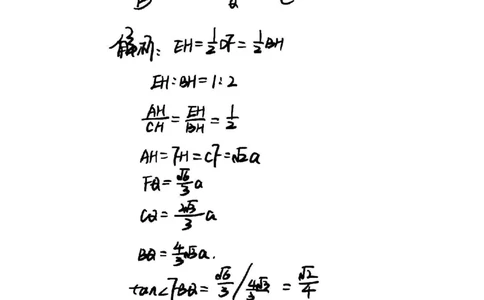 2025届杨浦区初三一模数学参考答案_0122026上海中考一模二模真题试卷_2025-2012年_6.2025年上海一模_分科目整理（试卷及答案）英语听力音频在这里_数学_答案