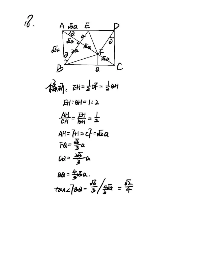2025届杨浦区初三一模数学参考答案_0122026上海中考一模二模真题试卷_2025-2012年_6.2025年上海一模_分科目整理（试卷及答案）英语听力音频在这里_数学_答案