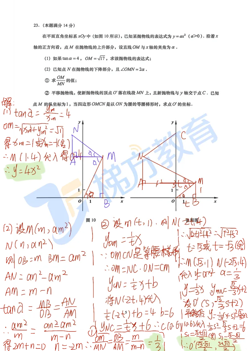 2026届上海普陀区初三二模数学试卷（独家解析）_0122026上海中考一模二模真题试卷_2026上海二模更新中1_普陀