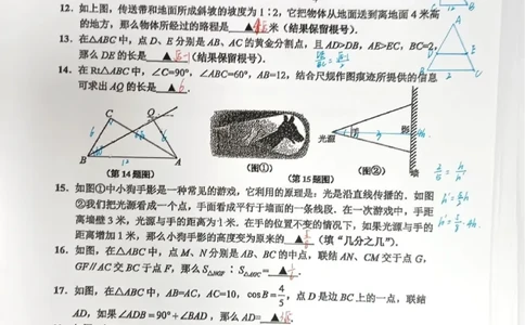 2026上海闵行初三一模数学试卷（手写答案）_0122026上海中考一模二模真题试卷_2026年上海一模_上海1500初中高中试卷_闵行区