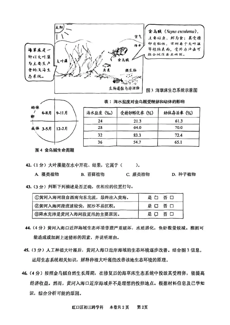 2025届虹口区初三一模综合试卷（跨学科部分）_0122026上海中考一模二模真题试卷_2025-2012年_6.2025年上海一模_分科目整理（试卷及答案）英语听力音频在这里_跨学科