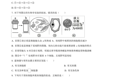 四川省内江市第一中学2025-2026学年高一上学期10月月考生物试题（原卷版）_2025年11月高一试卷_251101四川省内江市第一中学2025-2026学年高一上学期第一次月考（全）(1)
