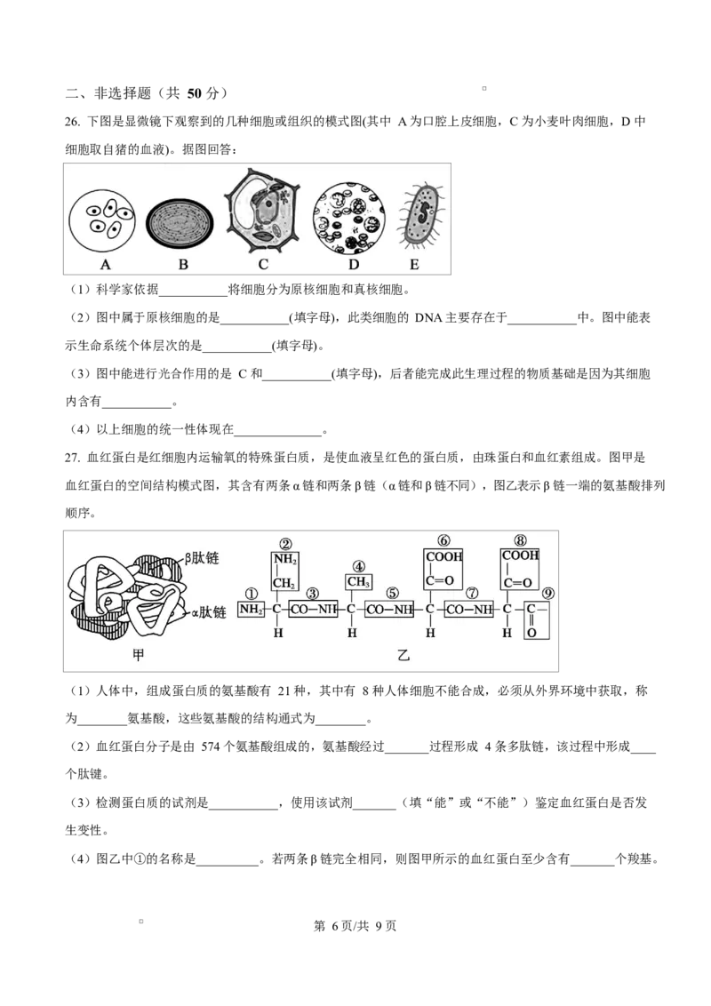 四川省内江市第一中学2025-2026学年高一上学期10月月考生物试题（原卷版）_2025年11月高一试卷_251101四川省内江市第一中学2025-2026学年高一上学期第一次月考（全）(1)