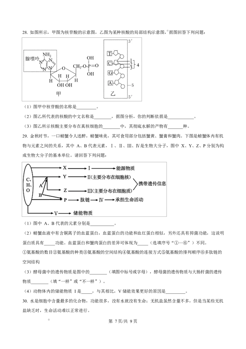 四川省内江市第一中学2025-2026学年高一上学期10月月考生物试题（原卷版）_2025年11月高一试卷_251101四川省内江市第一中学2025-2026学年高一上学期第一次月考（全）(1)