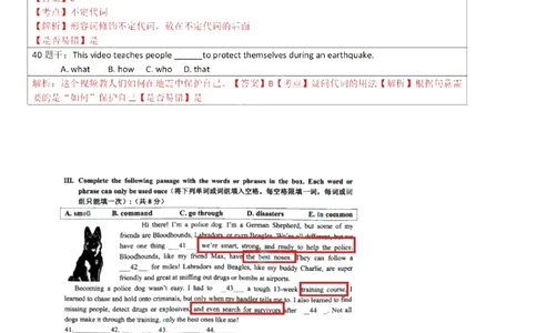 2026上海徐汇初三一模英语试卷解析_0122026上海中考一模二模真题试卷_2026年上海一模_上海1500初中高中试卷_徐汇区