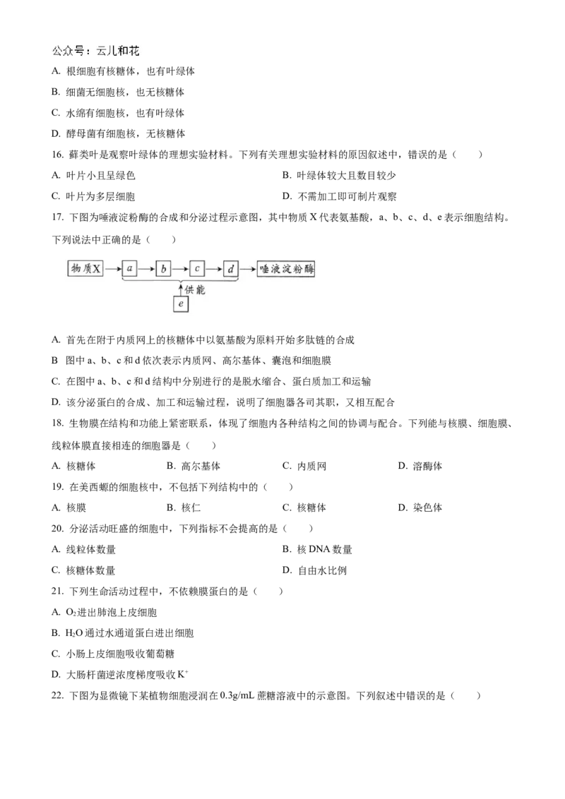 四川省绵阳市2024-2025学年高一上学期11月期中考试生物试题Word版无答案_2024年12月试卷_1202四川省绵阳市2024-2025学年高一上学期11月期中考试