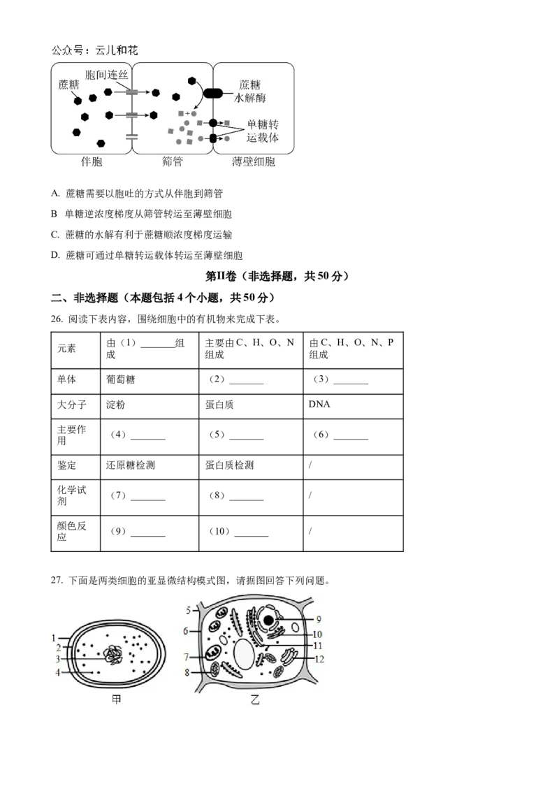 四川省绵阳市2024-2025学年高一上学期11月期中考试生物试题Word版无答案_2024年12月试卷_1202四川省绵阳市2024-2025学年高一上学期11月期中考试