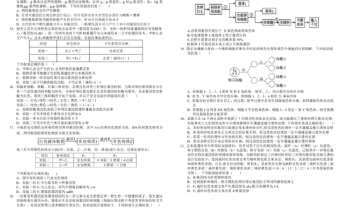 四川省树德中学2025-2026学年高一下学期4月阶段性测试生物PDF版含答案（可编辑）_2026年04月高一试卷_260421四川省树德中学2025-2026学年高一下学期4月阶段性测试