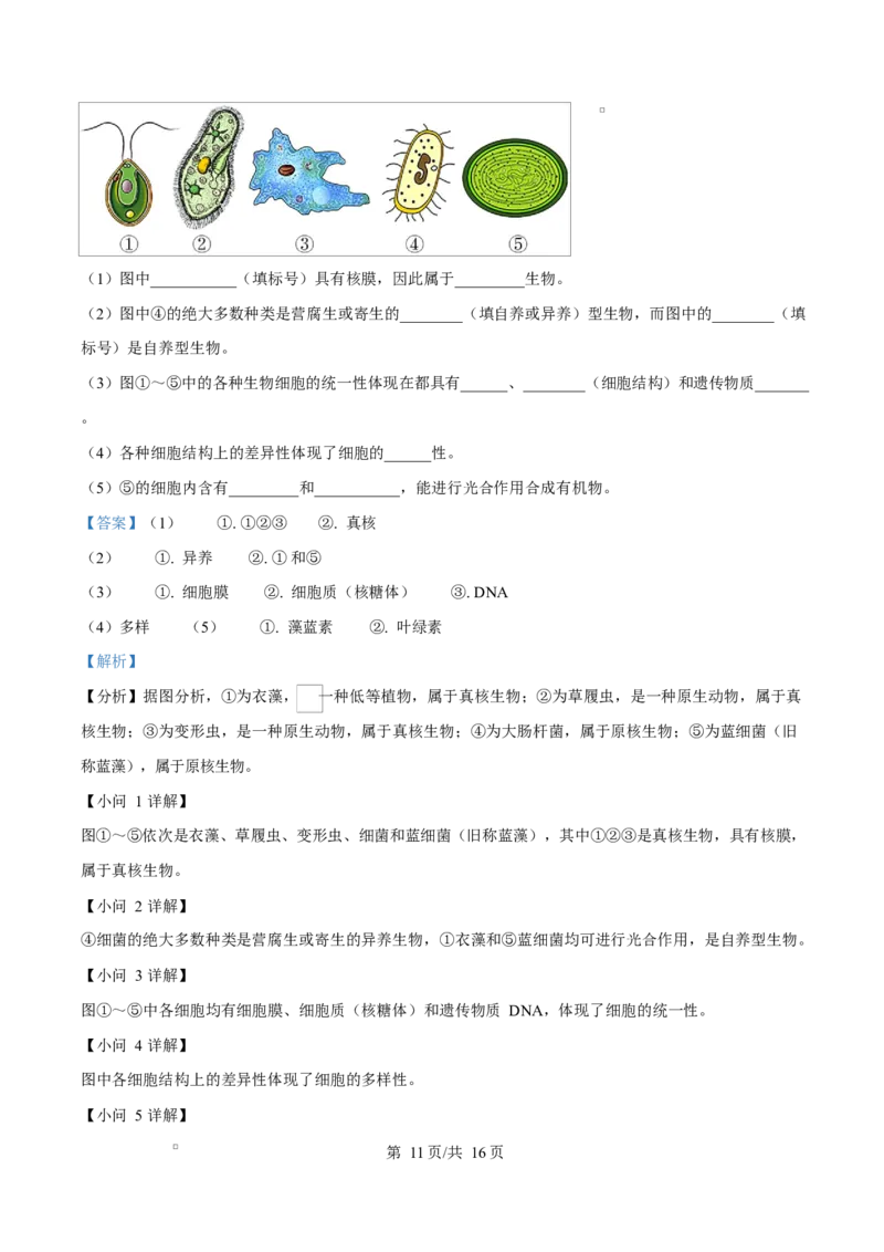 四川省遂宁市蓬溪中学2025-2026学年高一上学期10月月考生物试题Word版含解析_2025年10月高一试卷_251030四川省遂宁市蓬溪中学2025-2026学年高一上学期10月月考