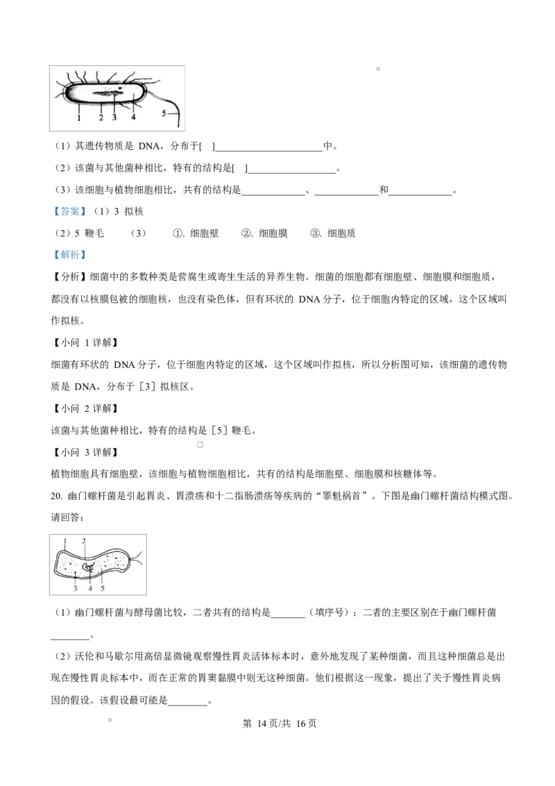 四川省遂宁市蓬溪中学2025-2026学年高一上学期10月月考生物试题Word版含解析_2025年10月高一试卷_251030四川省遂宁市蓬溪中学2025-2026学年高一上学期10月月考