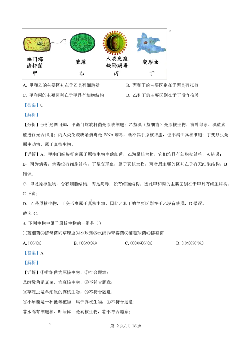 四川省遂宁市蓬溪中学2025-2026学年高一上学期10月月考生物试题Word版含解析_2025年10月高一试卷_251030四川省遂宁市蓬溪中学2025-2026学年高一上学期10月月考