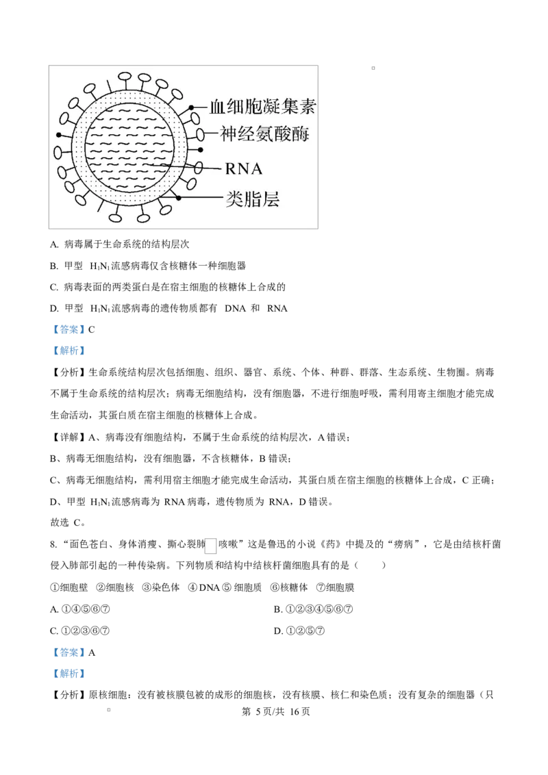四川省遂宁市蓬溪中学2025-2026学年高一上学期10月月考生物试题Word版含解析_2025年10月高一试卷_251030四川省遂宁市蓬溪中学2025-2026学年高一上学期10月月考
