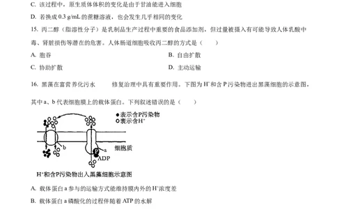 四川省绵阳市高中2024-2025学年高一上学期期末教学质量测试生物学试题Word版无答案_2025年03月试卷_0312四川省绵阳市2024-2025学年高一上学期1月期末考试