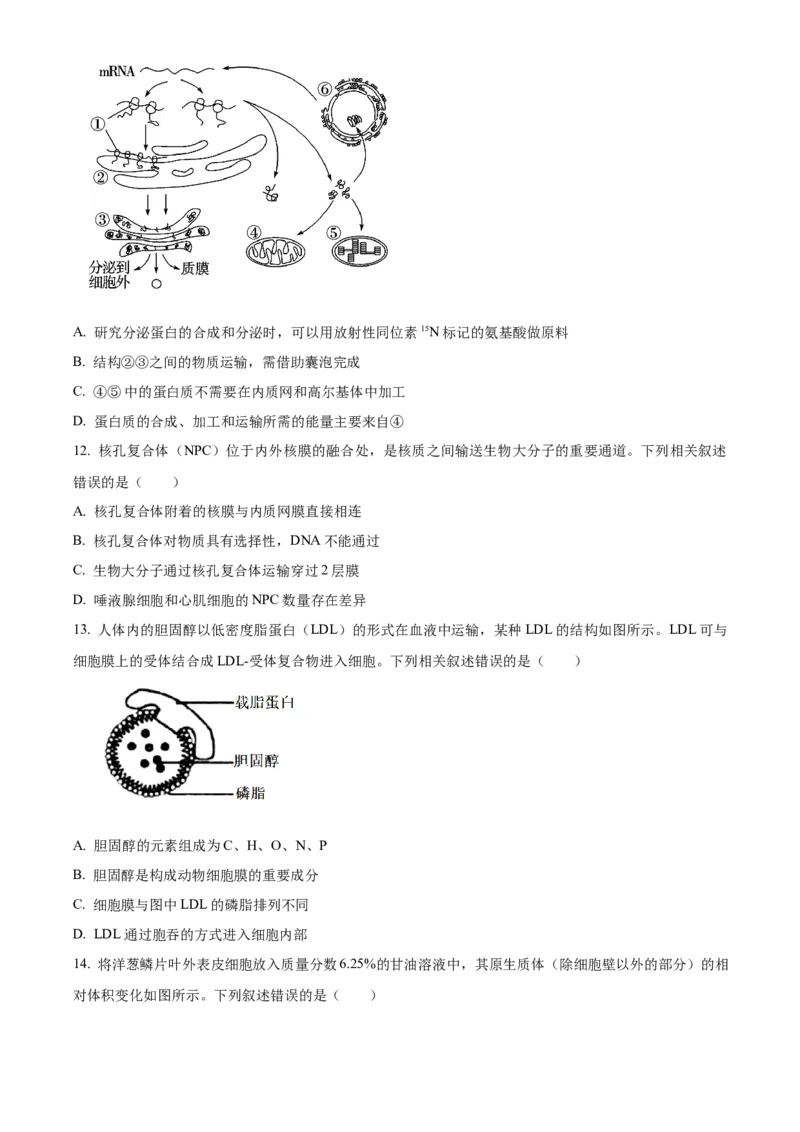 四川省绵阳市高中2024-2025学年高一上学期期末教学质量测试生物学试题Word版无答案_2025年03月试卷_0312四川省绵阳市2024-2025学年高一上学期1月期末考试