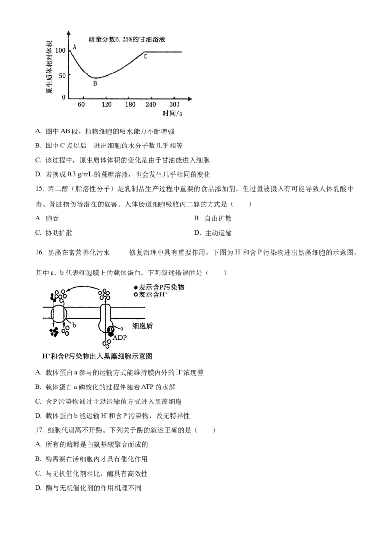 四川省绵阳市高中2024-2025学年高一上学期期末教学质量测试生物学试题Word版无答案_2025年03月试卷_0312四川省绵阳市2024-2025学年高一上学期1月期末考试