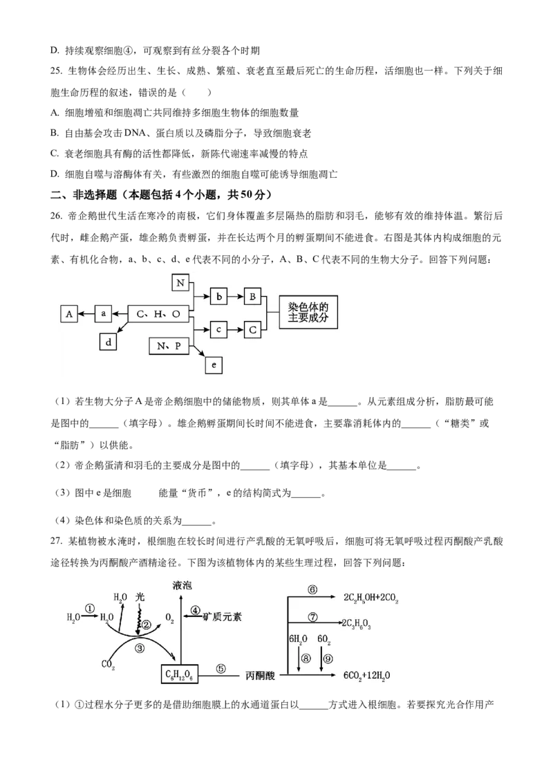 四川省绵阳市高中2024-2025学年高一上学期期末教学质量测试生物学试题Word版无答案_2025年03月试卷_0312四川省绵阳市2024-2025学年高一上学期1月期末考试