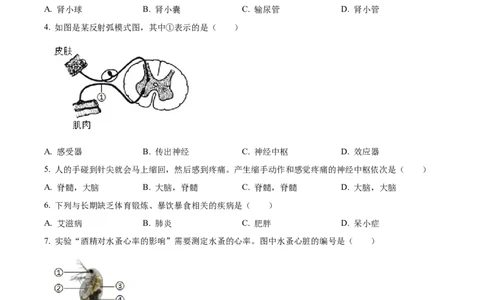 2025年上海市中考生物真题（原卷版）_0122026上海中考一模二模真题试卷_2026年上海一模_上海1500初中高中试卷_初中_上海市历年中考真题_上海市历年中考真题_生物历年中考真题
