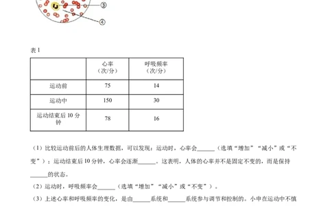 2025年上海市中考生物真题（原卷版）_0122026上海中考一模二模真题试卷_2026年上海一模_上海1500初中高中试卷_初中_上海市历年中考真题_上海市历年中考真题_生物历年中考真题